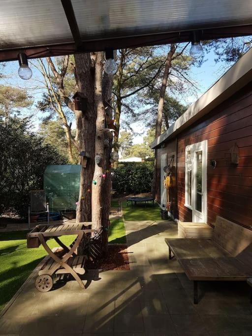 3 Bedroom Chalet On Camping Gt Balen Exterior photo